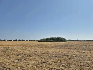 Teren intravilan 4428 mp - Balotesti - imagine 2