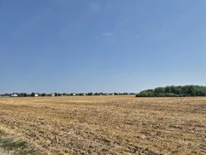 Teren intravilan 4428 mp - Balotesti - imagine 5