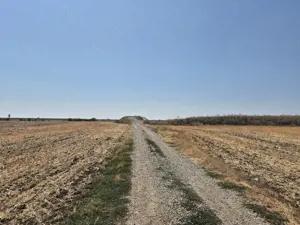 Teren intravilan 4428 mp - Balotesti - imagine 4