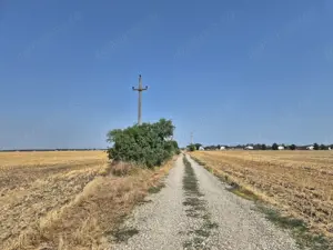 Teren intravilan 4428 mp - Balotesti - imagine 3