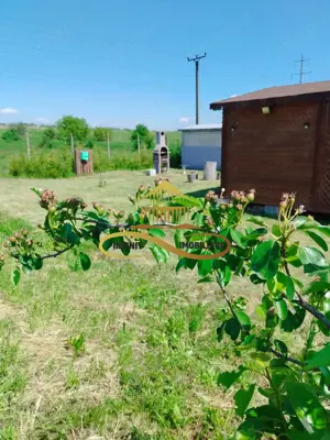 Teren cu Zonă Intravilană, Bacau-Lilieci, 1200 mp - imagine 3