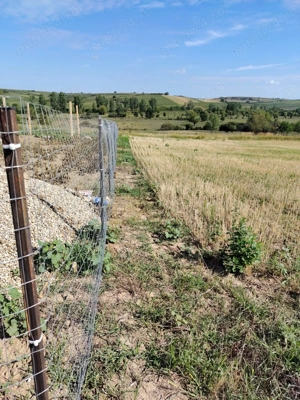 De vanzare parcele 1000 Mp , intravilan,Paleu 