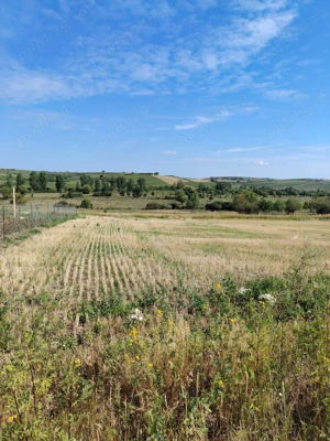 De vanzare parcele 1000 Mp , intravilan,Paleu  - imagine 2