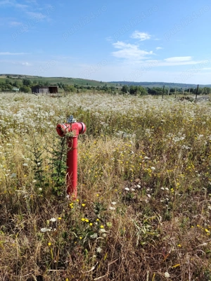 De vanzare parcele 1000 Mp , intravilan,Paleu  - imagine 5