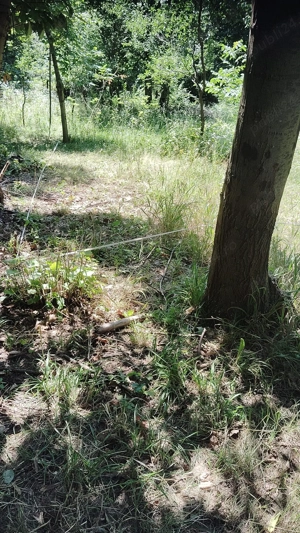 Teren de vânzare  550  mp  - Cicârlău - imagine 6