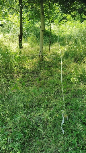 Teren de vânzare  550  mp  - Cicârlău - imagine 4