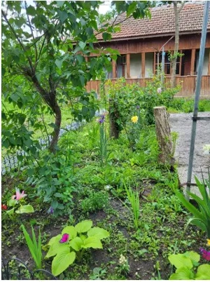 Teren cu doua corpuri casa - 35500 eur - imagine 2