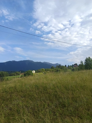 Teren BRAN Bradul Inalt-SOHODOL - imagine 10