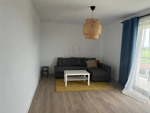 Apartament 2 camere - parter - gradina 70 mp - decomandat - mobilat utilat - imagine 3