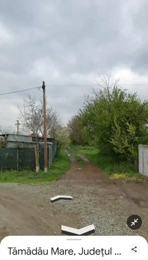 vand teren intravilan Comuna Tamadaul Mare, Calarasi