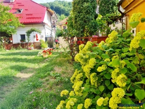 3D! Locatie decomandata, in zona centrala cu gradina, activitate profesionala rezidenta