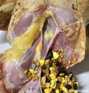 pasari de tara  gaini si cocosi - imagine 5