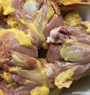 pasari de tara  gaini si cocosi - imagine 3