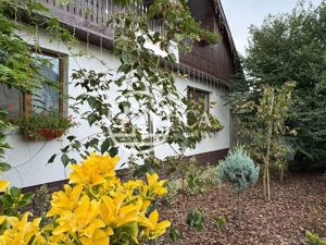 Casă de vânzare cu 4 camere si teren de 1000 mp in Salard, Bihor - imagine 2