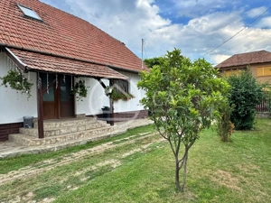 Casă de vânzare cu 4 camere si teren de 1000 mp in Salard, Bihor - imagine 3