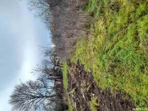 Casa de vânzare  - imagine 5 Casa de vânzare  - imagine 5