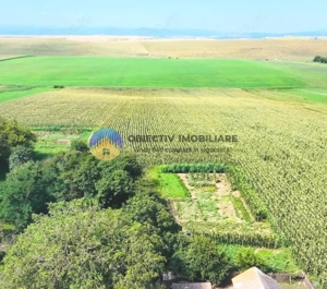 TEREN intravilan  9.126 mp - comuna STEFAN cel MARE - imagine 6