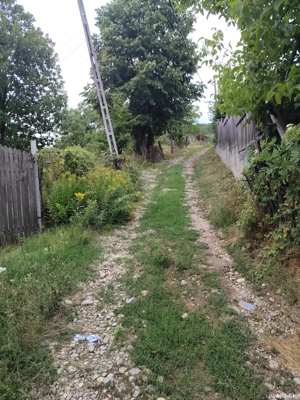 Teren intravilan de vânzare  - imagine 4