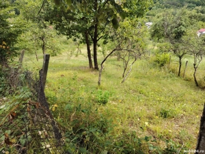 Teren intravilan de vânzare  - imagine 5