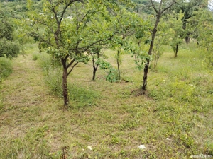 Teren intravilan de vânzare  - imagine 3