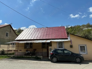 Anina caras Severin 2 case de vânzare la prețul uneia