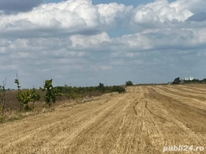 Teren zona RO-RO - imagine 2