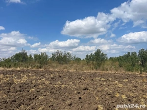 Teren zona RO-RO - imagine 5