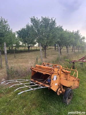 vand balotiera de munte  - imagine 3