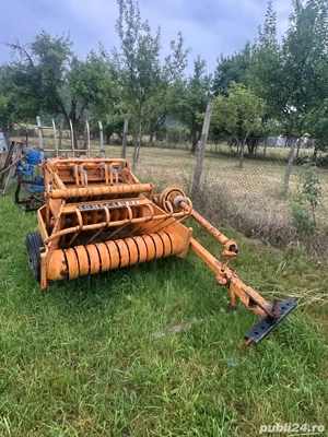 vand balotiera de munte  - imagine 2