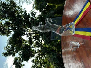 Vând țuică de prune 