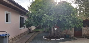 Vanzare 3 case moderne + 3 anexe si 2000 mp teren gradina, pomi fructiferi in Tuzla la mare - imagine 5