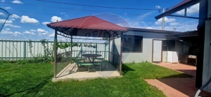 Investitie livada cu 116 pomi fructiferi in Comuna Livada - imagine 5