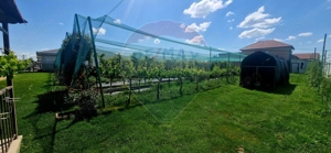 Investitie livada cu 116 pomi fructiferi in Comuna Livada