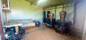 Investitie livada cu 116 pomi fructiferi in Comuna Livada - imagine 10