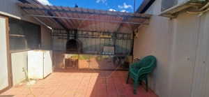 Investitie livada cu 116 pomi fructiferi in Comuna Livada - imagine 9