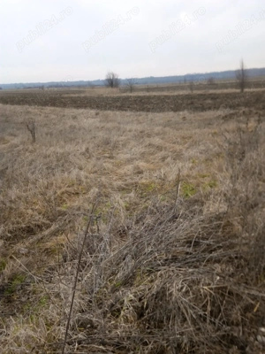 Teren 5500 m2 din care 1700 constructii  cu 2.4 e  m2 - imagine 2