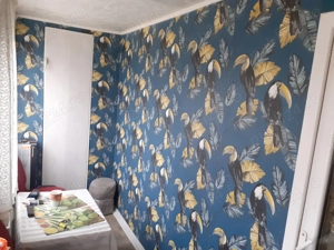 Vând casă nouă 2025 zona vidin,strada teiului - imagine 8