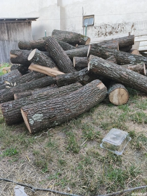 lemn fag stejar tăiate la metru s-au de foc 