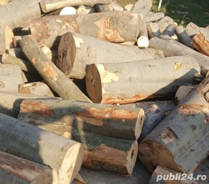 lemn fag stejar tăiate la metru s-au de foc  - imagine 3