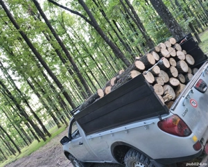 lemn fag stejar tăiate la metru s-au de foc  - imagine 2