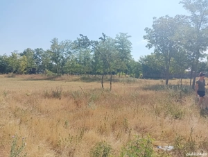 teren de vânzare  - imagine 9