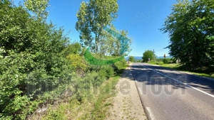 Teren intravilan, parcele 12, 22 arii, Carbunari, acces la drum public - imagine 5