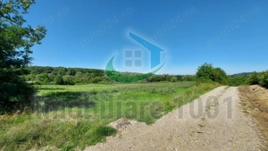 Teren intravilan, parcele 12, 22 arii, Carbunari, acces la drum public - imagine 3