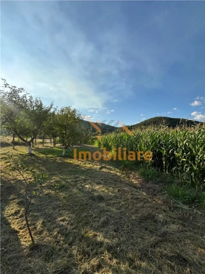 CASA IN COMUNA LAZARENI  TEREN 6.754 MP  CASA 143 MP  CURENT TRIFAZIC - imagine 13