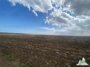 Teren extravilan in Mihail Kogalniceanu, Constanta - imagine 4