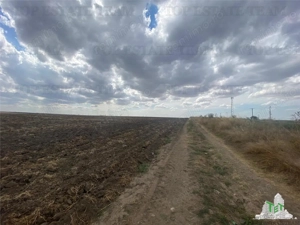 Teren extravilan in Mihail Kogalniceanu, Constanta - imagine 6