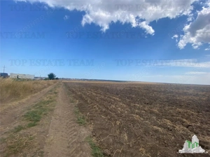 Teren extravilan in Mihail Kogalniceanu, Constanta - imagine 5