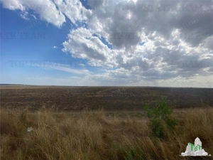 Teren extravilan in Mihail Kogalniceanu, Constanta - imagine 7