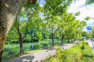 Teren generos și casă deosebită lângă Parcul Central – oportunitate rară în Cluj - imagine 15