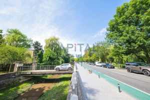 Teren generos și casă deosebită lângă Parcul Central – oportunitate rară în Cluj - imagine 14